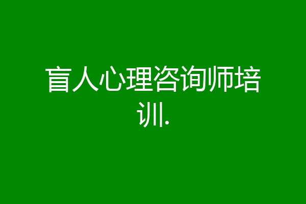 盲人心理咨询师培训.