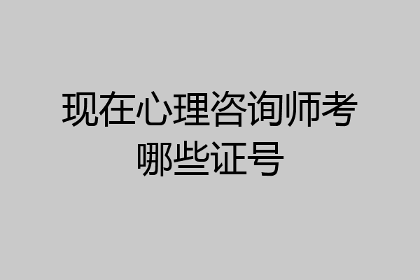 现在心理咨询师考哪些证号