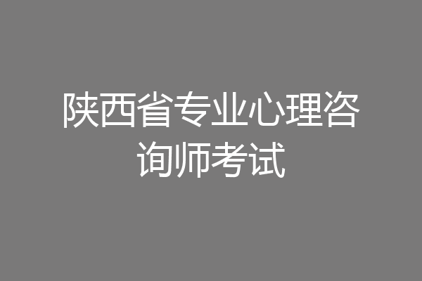 陕西省专业心理咨询师考试