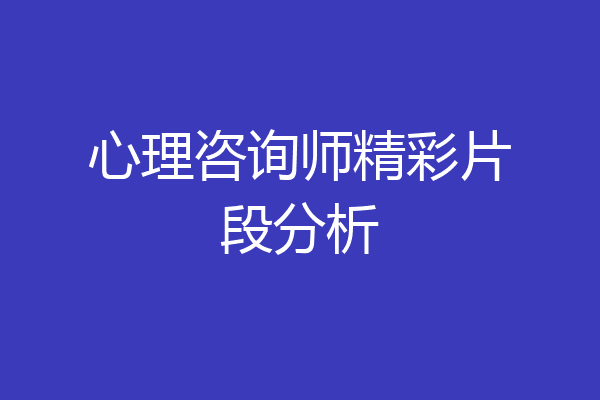 心理咨询师精彩片段分析