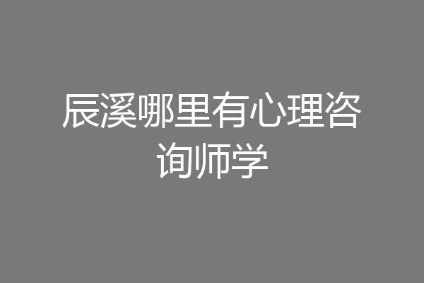 辰溪哪里有心理咨询师学