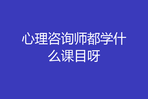 心理咨询师都学什么课目呀