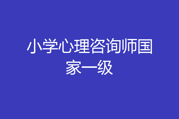 小学心理咨询师国家一级