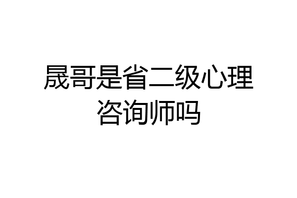 晟哥是省二级心理咨询师吗