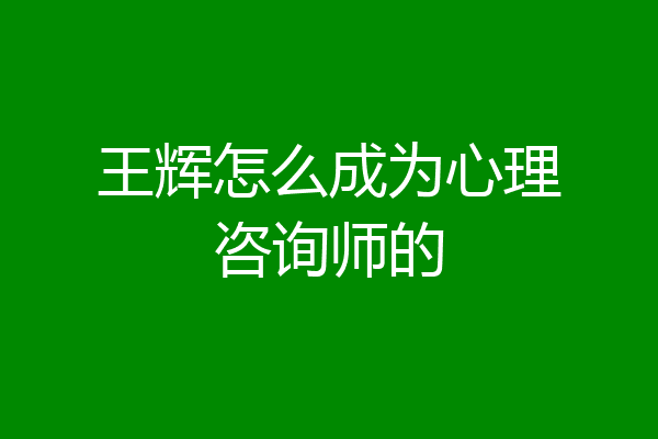王辉怎么成为心理咨询师的