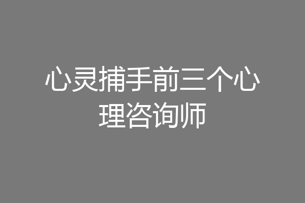 心灵捕手前三个心理咨询师