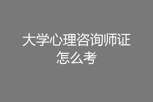 大学心理咨询师证怎么考