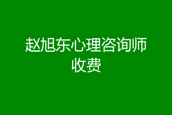 赵旭东心理咨询师收费