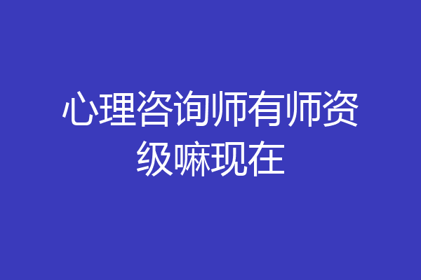 心理咨询师有师资级嘛现在
