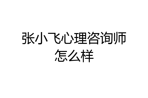 张小飞心理咨询师怎么样