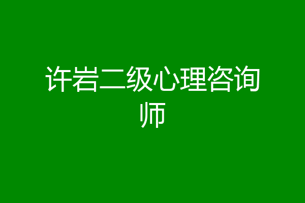 许岩二级心理咨询师