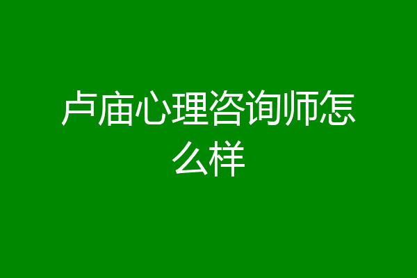 卢庙心理咨询师怎么样