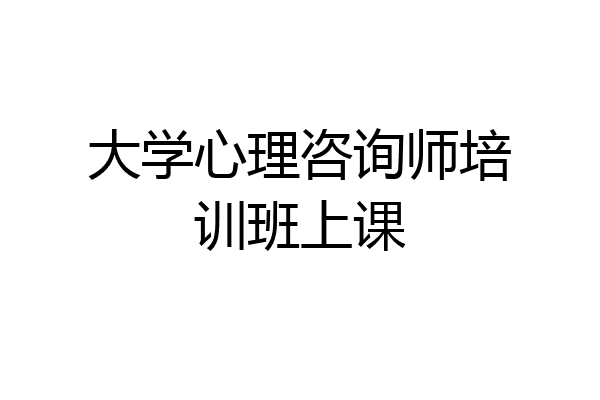 大学心理咨询师培训班上课