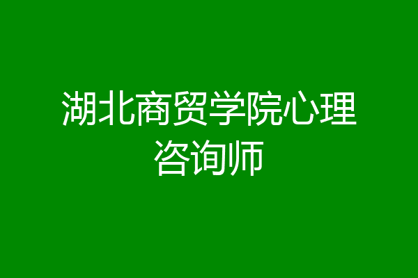 湖北商贸学院心理咨询师