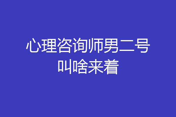 心理咨询师男二号叫啥来着