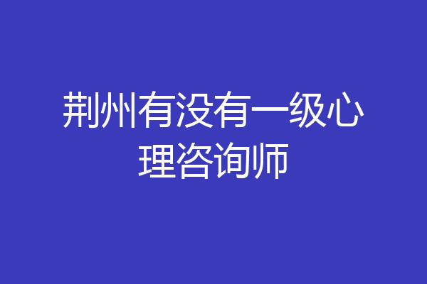 荆州有没有一级心理咨询师