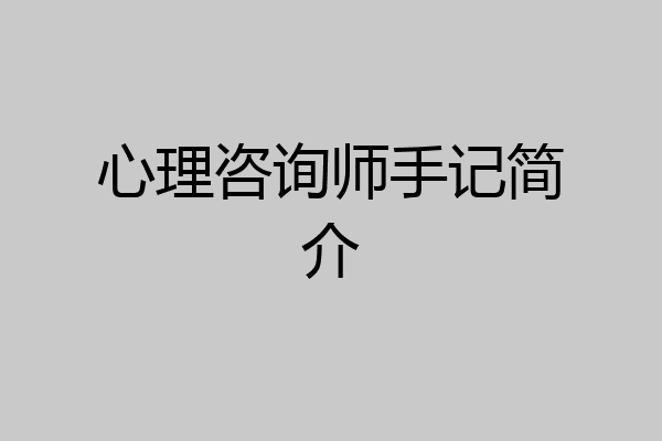 心理咨询师手记简介