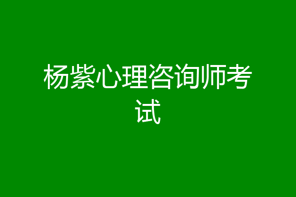 杨紫心理咨询师考试