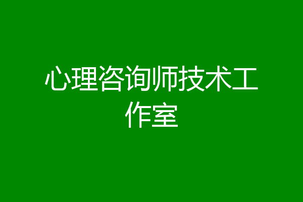 心理咨询师技术工作室