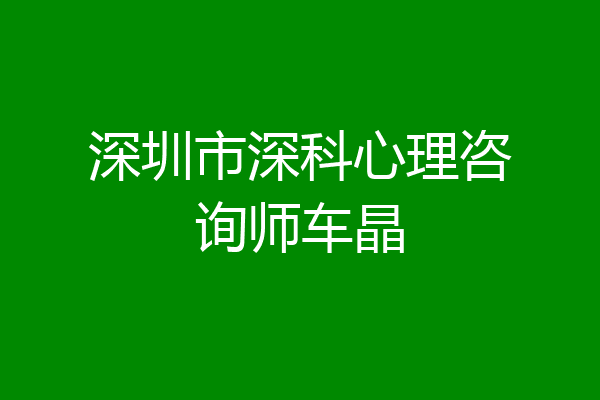 深圳市深科心理咨询师车晶