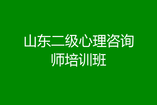 山东二级心理咨询师培训班