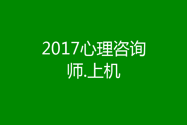 2017心理咨询师.上机