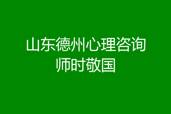 山东德州心理咨询师时敬国