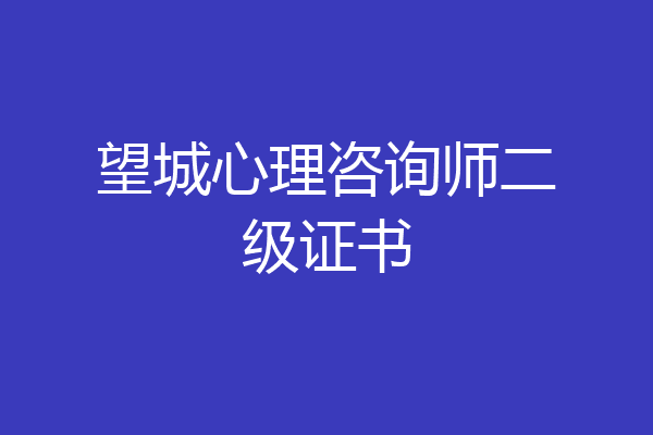 望城心理咨询师二级证书