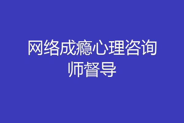 网络成瘾心理咨询师督导