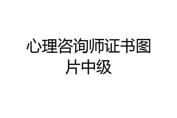 心理咨询师证书图片中级