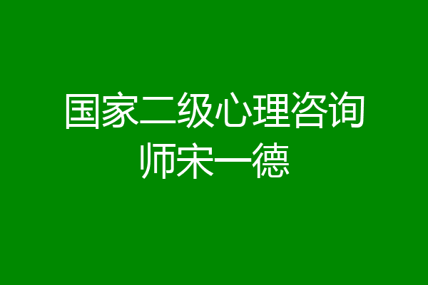 国家二级心理咨询师宋一德