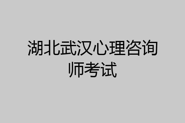 湖北武汉心理咨询师考试