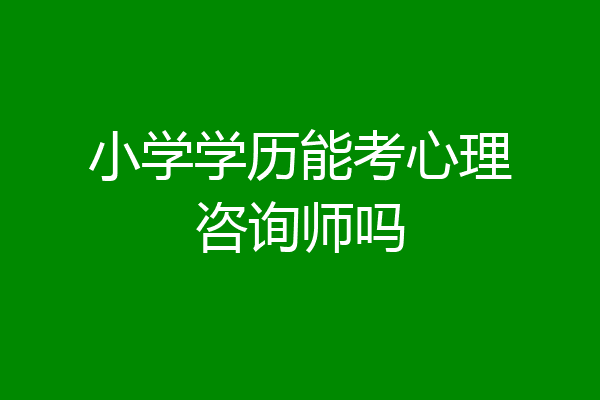 小学学历能考心理咨询师吗