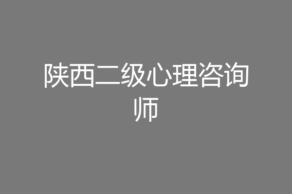 陕西二级心理咨询师