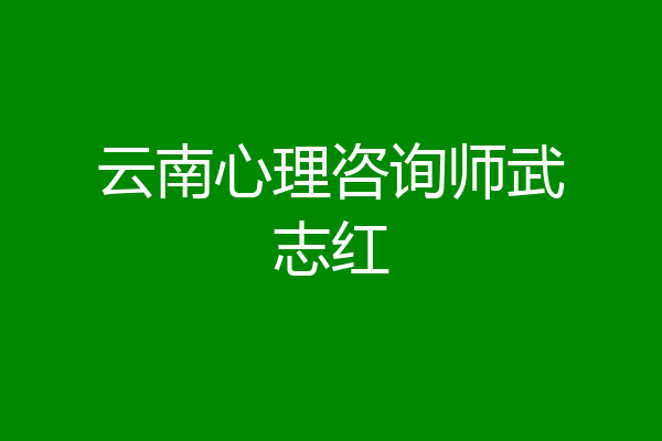 云南心理咨询师武志红