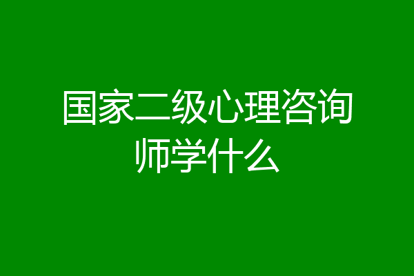 国家二级心理咨询师学什么