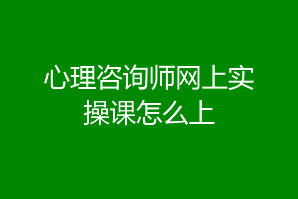 心理咨询师网上实操课怎么上