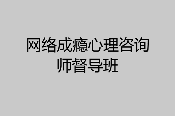 网络成瘾心理咨询师督导班