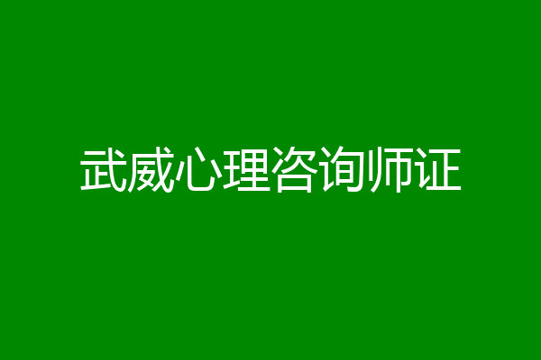 武威心理咨询师证