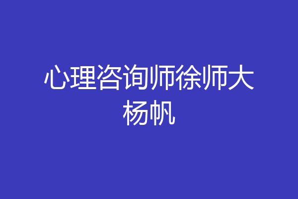 心理咨询师徐师大杨帆