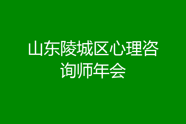 山东陵城区心理咨询师年会