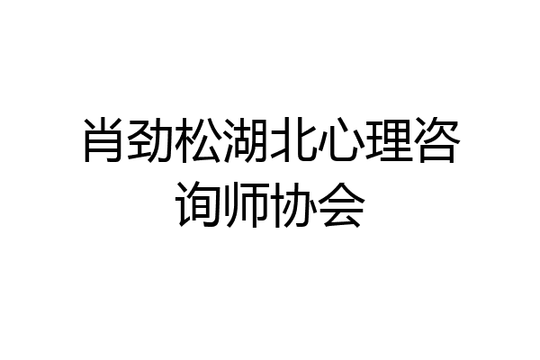 肖劲松湖北心理咨询师协会