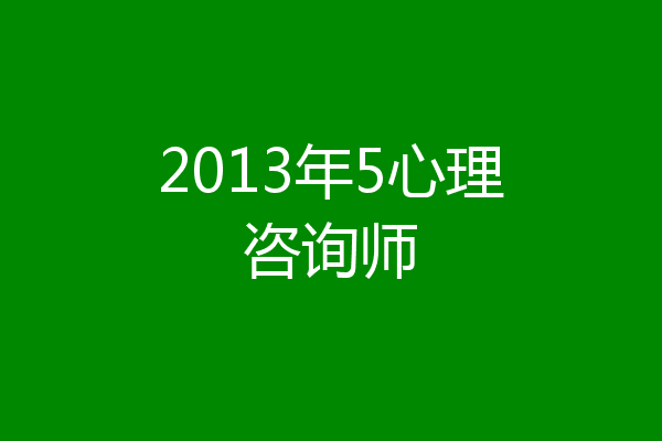 2013年5心理咨询师