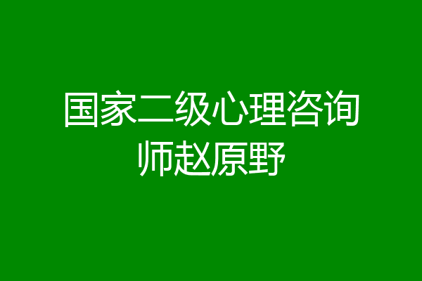 国家二级心理咨询师赵原野
