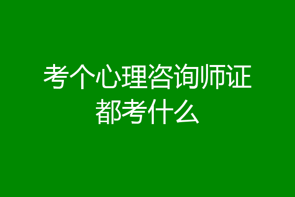 考个心理咨询师证都考什么