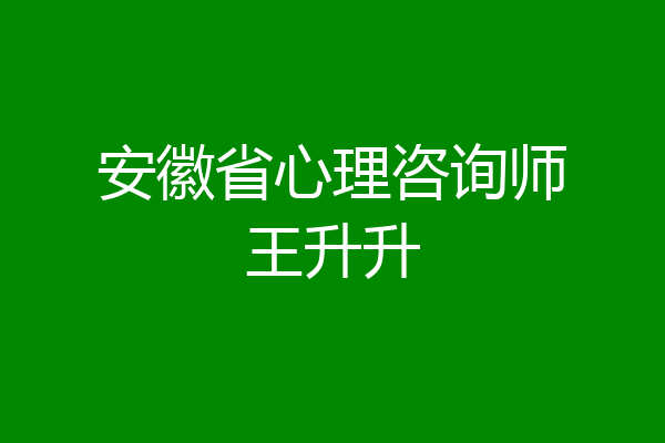 安徽省心理咨询师王升升