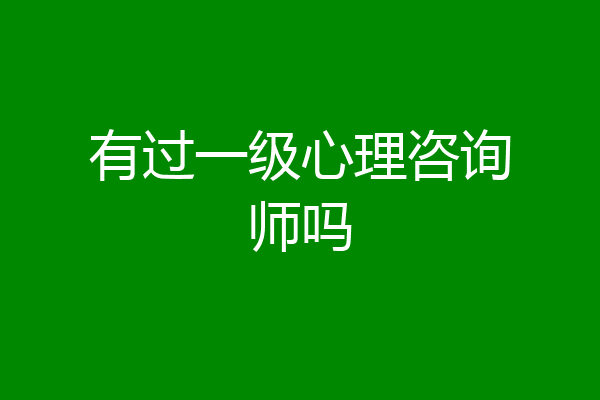有过一级心理咨询师吗