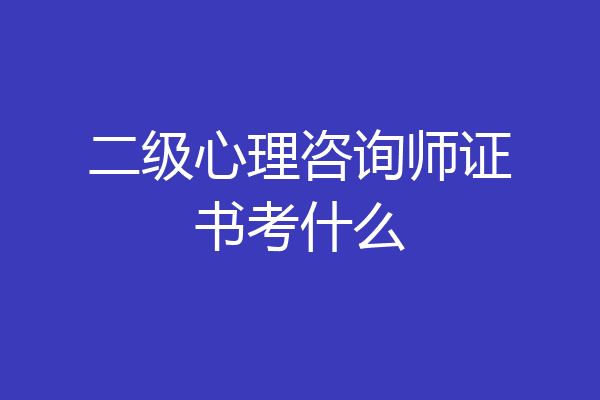 二级心理咨询师证书考什么
