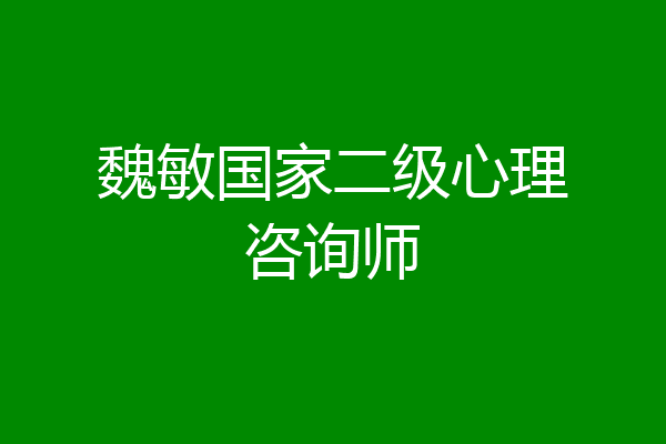 魏敏国家二级心理咨询师