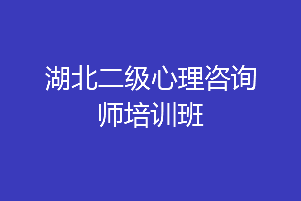 湖北二级心理咨询师培训班